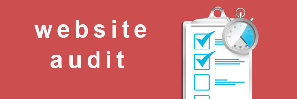 Website Auditing