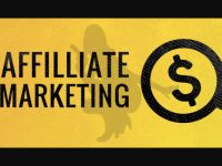 Niche Affiliate Websites