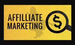 Niche Affiliate Websites