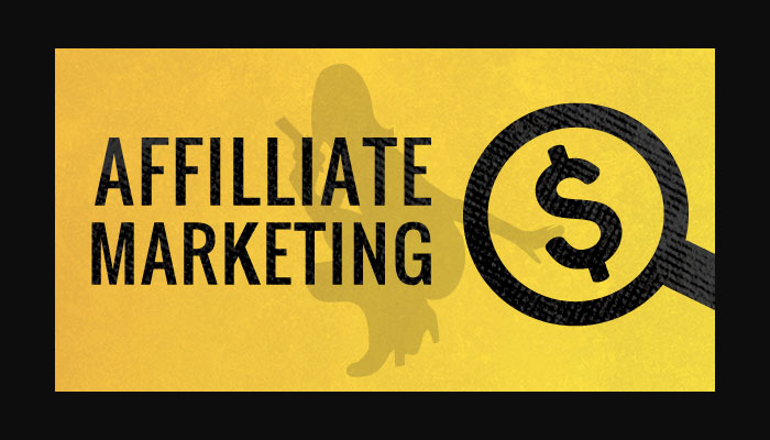 Niche Affiliate Websites